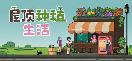 屋顶种植生活
