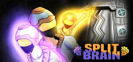裂脑/Split Brain
