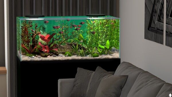 玻璃背后：水族馆模拟器/Behind Glass: Aquarium Simulator 截图