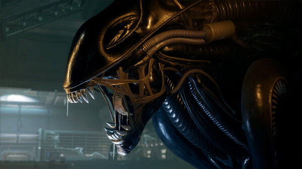 异形：侠盗入侵/Alien: Rogue Incursion VR 截图