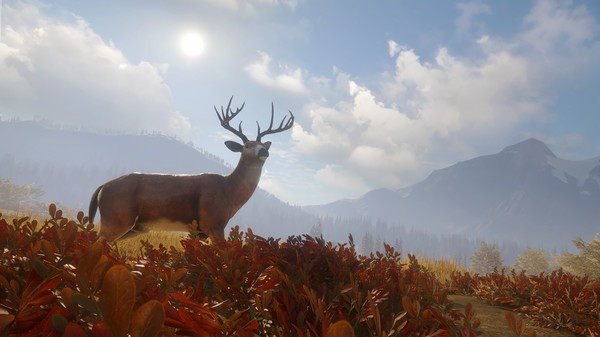 猎人 荒野的召唤 截图