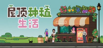 屋顶种植生活