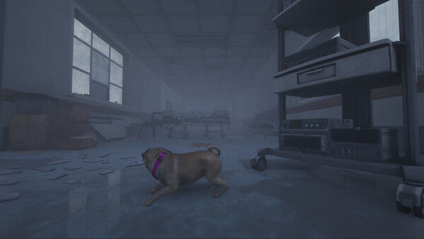 The Good Dog: Chasing Shadows 截图