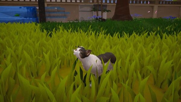 喵米：都市猫咪大乱/MEOWMI: City Cat Chaos 截图