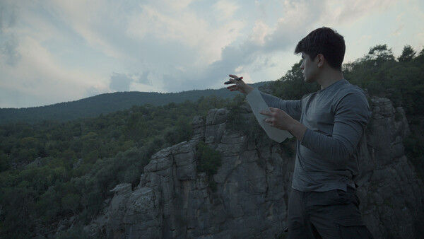 无言之林 Wordless Forest 截图