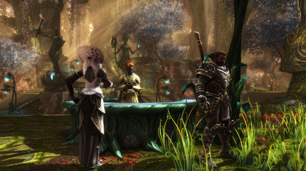 阿玛拉王国：惩罚重制版/Kingdoms of Amalur: Re-Reckoning 截图