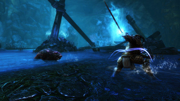阿玛拉王国：惩罚重制版/Kingdoms of Amalur: Re-Reckoning 截图