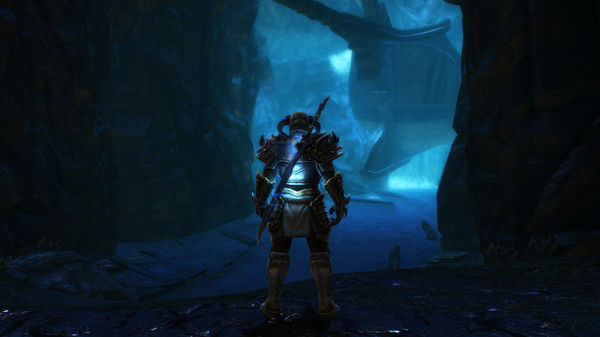 阿玛拉王国：惩罚重制版/Kingdoms of Amalur: Re-Reckoning 截图