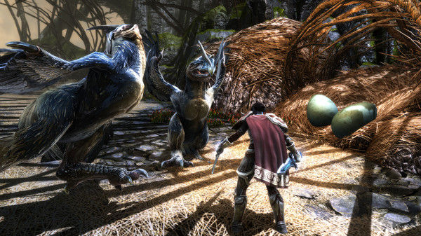 阿玛拉王国：惩罚重制版/Kingdoms of Amalur: Re-Reckoning 截图