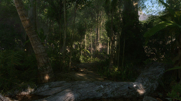 孤岛危机：重制版/Crysis Remastered 截图