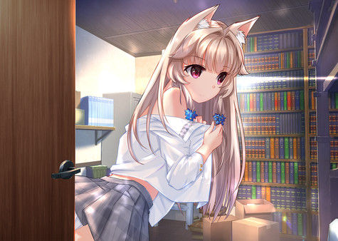 Fox Hime 截图