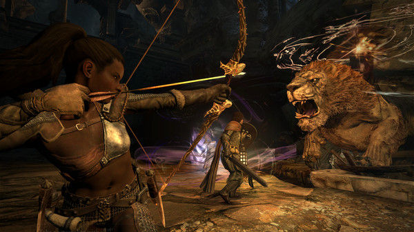 龙之信条：黑暗觉者/Dragon's Dogma: Dark Arisen 截图