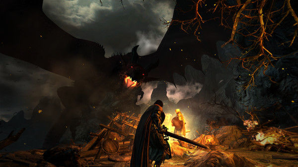 龙之信条：黑暗觉者/Dragon's Dogma: Dark Arisen 截图