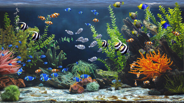 禅意水族馆/Zen Aquarium 截图