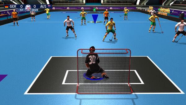 Floorball League 2010 截图