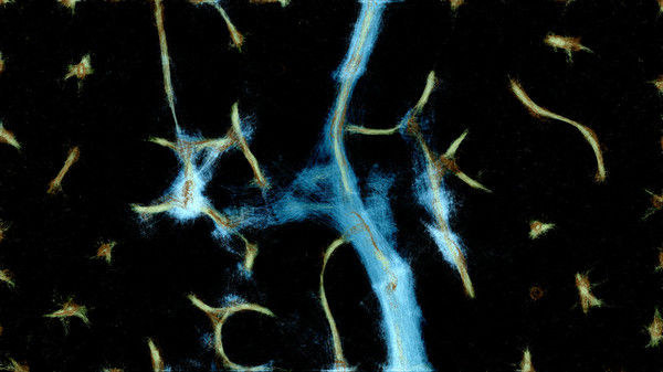 PHYSARUM: Slime Mold Simulator 截图
