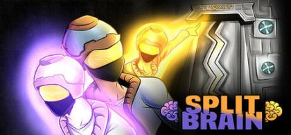裂脑/Split Brain