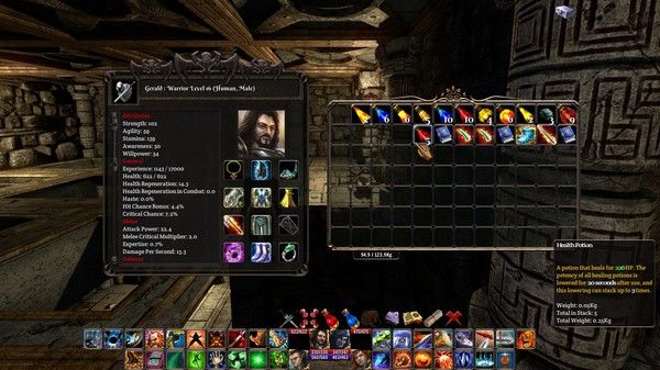 The Fall of the Dungeon Guardians - Enhanced Edition 截图