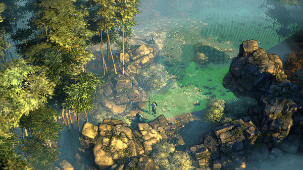 影子战术：将军之刃/Shadow Tactics: Blades of the Shogun 截图