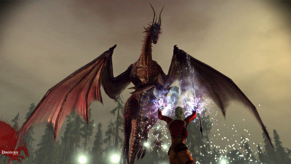 Dragon Age: Origins 截图