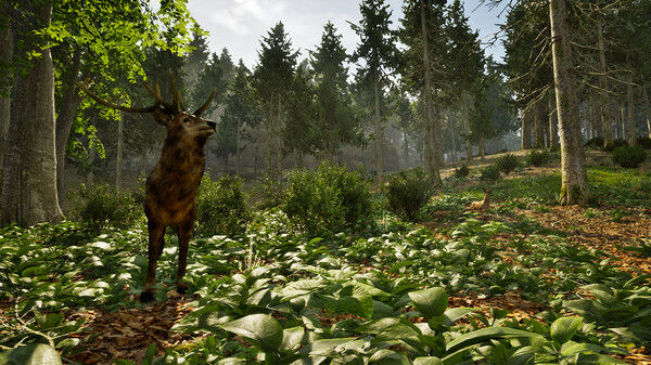 Park Ranger Simulator 截图