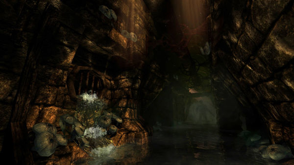 失忆症：黑暗后裔/Amnesia: The Dark Descent 截图