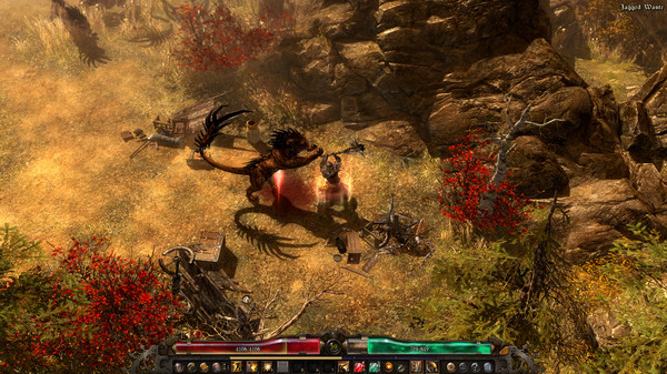 恐怖黎明/Grim Dawn 截图