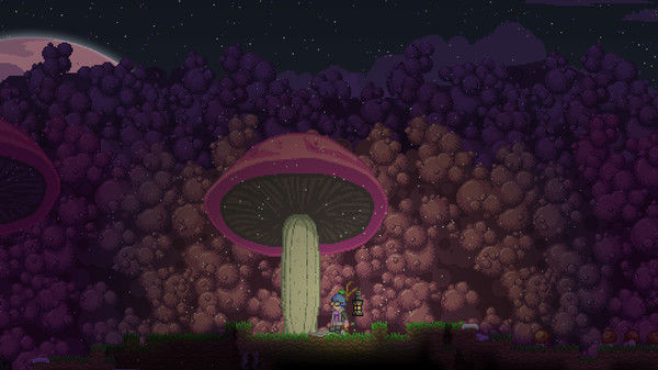 星界边境/Starbound 截图