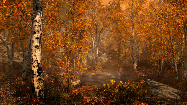 上古卷轴5：周年纪念版/The Elder Scrolls V: Skyrim Special Edition 截图