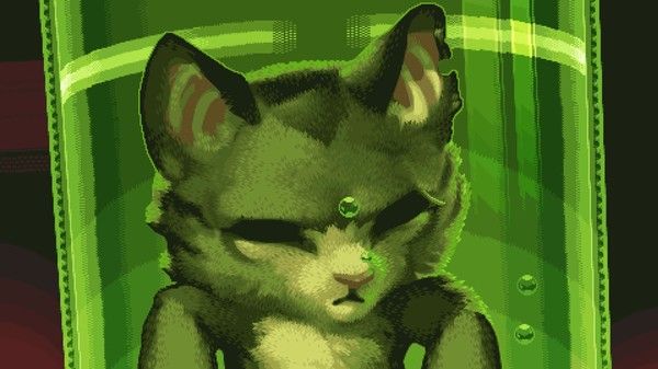 超级猫猫哥 截图