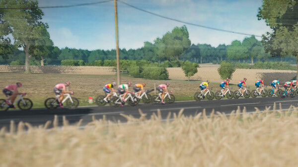 环法自行车赛2024/Tour de France 2024 截图
