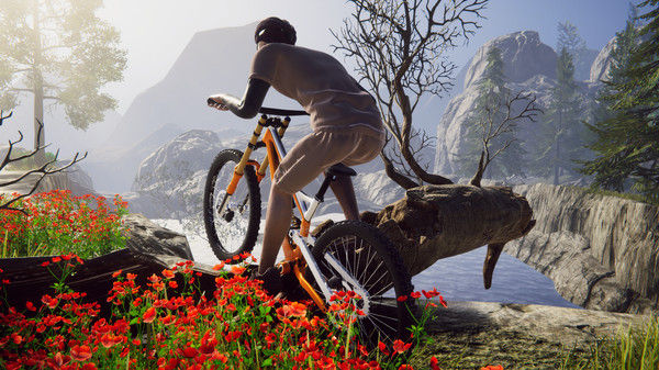 自行车骑手模拟器/Bicycle Rider Simulator 截图