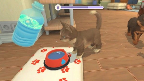 我的世界：小狗和小猫/My Universe - Puppies & Kittens 截图