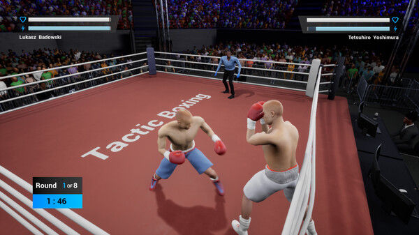 Tactic Boxing 截图