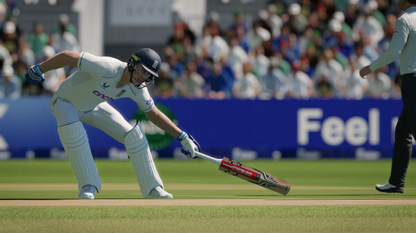 板球24/Cricket 24 截图