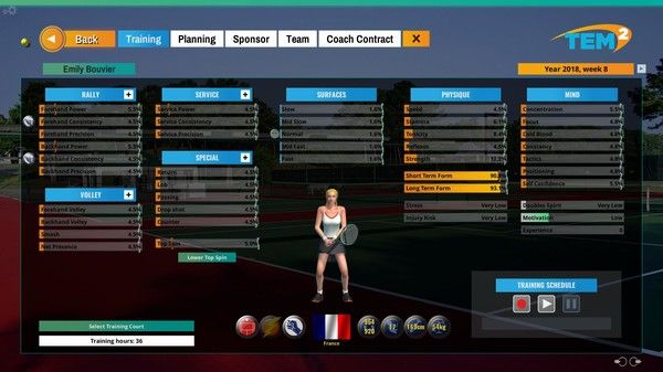网球肘经理2/Tennis Elbow Manager 2 截图