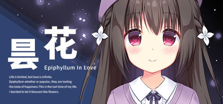 昙花 截图