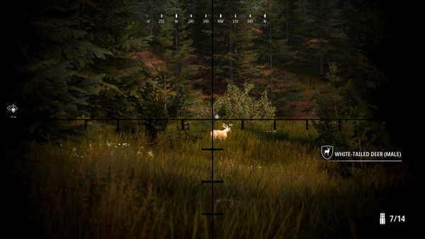 模拟狩猎2/Hunting Simulator 2 截图